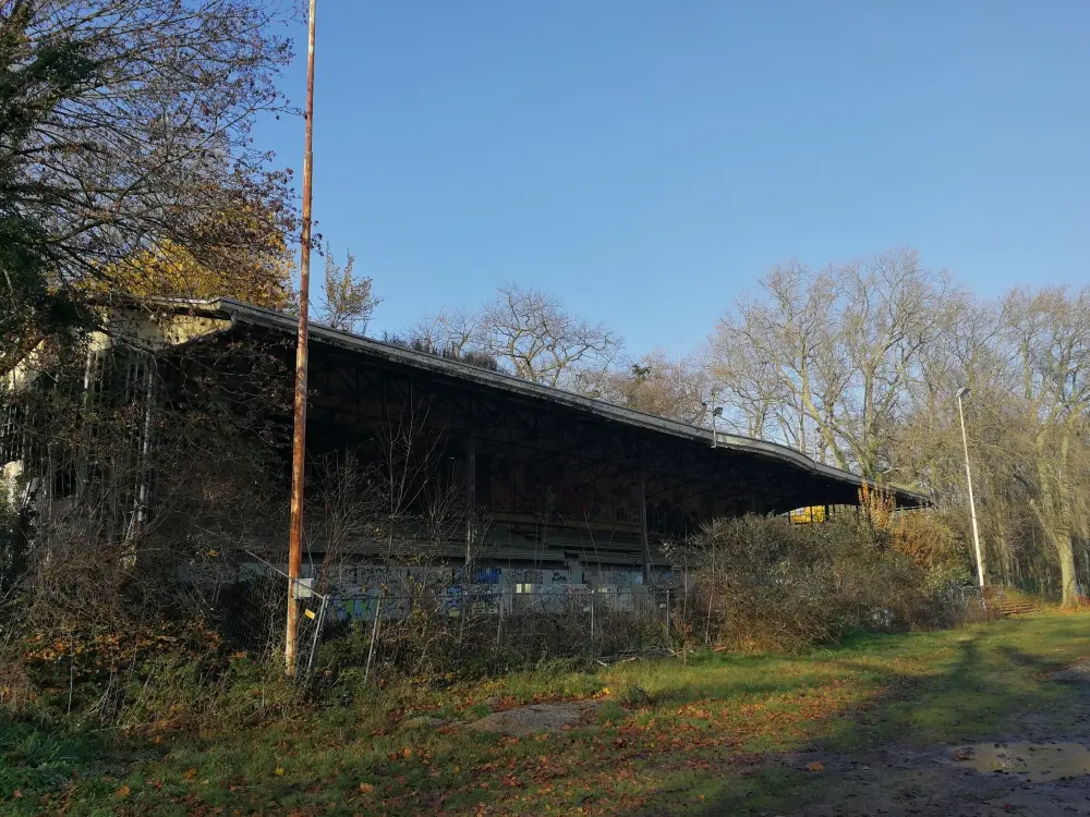 bananenflanke IMG 20191130 111637