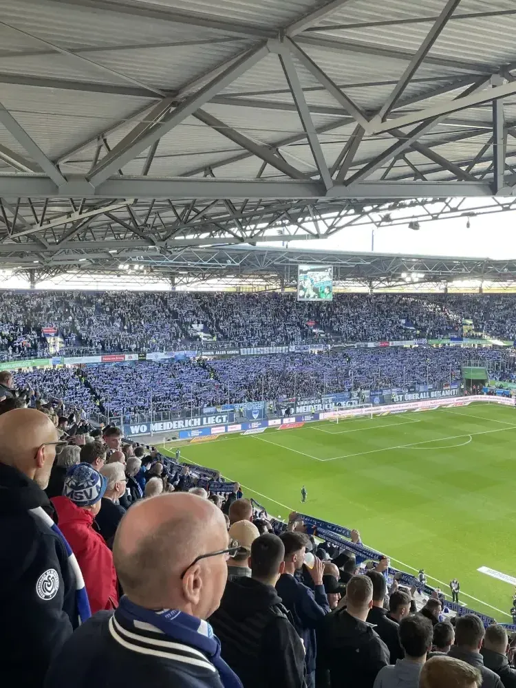 bananenflanke MSV1 x27